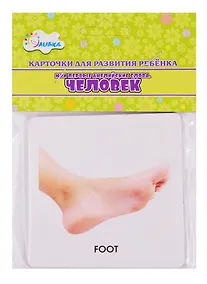 Купить Карточки для развития ребенка "Мои первые английские слова. Человек" — Фото №1