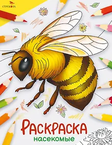 Купить Насекомые. Окружающий мир. Раскраска — Фото №1