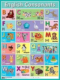 Купить Английские согласные звуки. English Consonants. Наглядное пособие — Фото №1