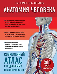 Купить Анатомия человека. Современный атлас с подробными иллюстрациями — Фото №1