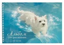 Купить Альбом для рисования 40л А4 "Белый песик" гребень, мел.картон, глянц.ламинация — Фото №1