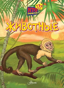 Купить Животные — Фото №1