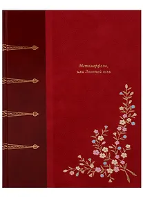 Купить Матаморфозы, или Золотой осел — Фото №1