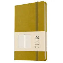 Купить Книга для записей А4- 96л кл. "Joy Book. Фисташковый мусс" иск.кожа, тонир.блок, скругл.углы, ляссе, резинка — Фото №1