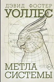 Купить Метла системы — Фото №1