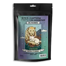 Купить "ФРЕЯ" PNBM-050 Набор для раскрашивания по номерам (на магните) ( с краской-металлик ) 15 х 10 см "Сила" — Фото №1