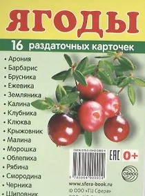Купить Дем. картинки СУПЕР Ягоды.16 раздаточных карточек с текстом (63х87мм) — Фото №1
