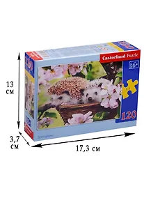 Купить Пазл Castorland MIDI Ежики 120эл. В-13319 — Фото №1