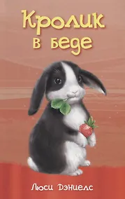 Купить Кролик в беде — Фото №1