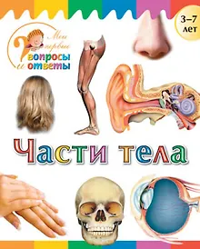 Купить Части тела — Фото №1