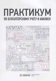 Купить Практикум по бухгалтерскому учету и анализу — Фото №1
