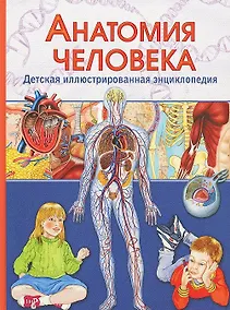Купить Анатомия человека. Детская иллюстрированная энциклопедия — Фото №1