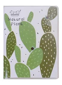 Купить Записная книжка А6 "Кактусы" — Фото №1