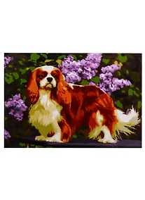 Купить Набор д/творчества Рыжий кот Палитра. Холст с красками 40х50см по номер. в кор. (20 цв.) Пушистая собачка ХК-5887 — Фото №1