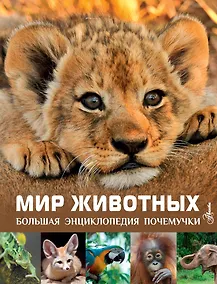 Купить Мир животных — Фото №1