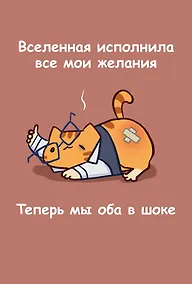 Купить Книга для записей А5 64л лин. "Мурчальня. Вселенная исполнила все мои желания" — Фото №1