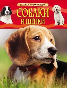 Купить Собаки и щенки — Фото №1