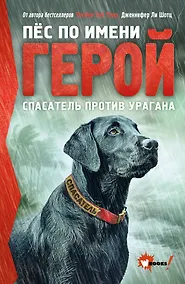 Купить Пёс по имени Герой. Спасатель против урагана — Фото №1