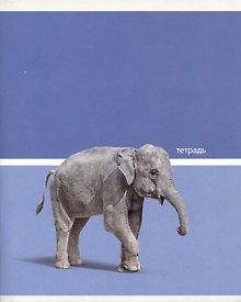 Купить Тетрадь общая «Wild animals», 48 листов в клетку, A5, в ассортименте - Listoff — Фото №1