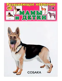 Купить Развивающие карточки Мамы и детки (домашние животные) (0+) (14 карточек) — Фото №1