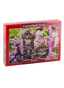 Купить Пазл Котята в саду Castorland 1000 элементов C-104086 — Фото №1
