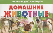 Купить Обуч.карт.Домашние животные — Фото №1