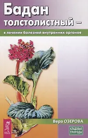 Купить Бадан толстолистный - в лечении болезней внутренних органов — Фото №1