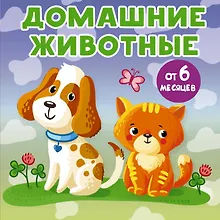 Купить Домашние животные — Фото №1