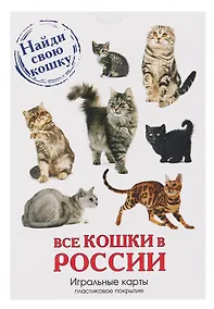 Купить Карты сувенирные "Все кошки в России" — Фото №1