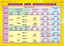 Купить Учебный плакат "Склонение имен прилагательных", А4 — Фото №1