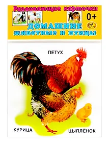 Купить Развивающие карточки Домашние  животные и птицы (0+) (12 карточек) — Фото №1