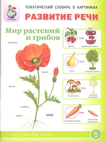 Купить Развитие речи Мир растений и грибов Фрукты Овощи… Тем. словарь в картинках (м) (5-7 л.) — Фото №1