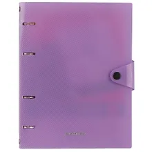 Купить Тетрадь на кольцах в клетку Erich Krause, Vivid, 80 листов, в ассортименте — Фото №1