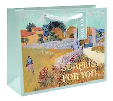 Купить Пакет A6 11,5*14,5*6 "Surprise for you" нейтр., бум.мат.ламинат — Фото №1