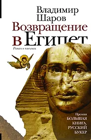 Купить Возвращение в Египет : роман в письмах — Фото №1