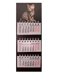 Купить Календарь квартальный 2026г 82*230 "Котенок на черном" на магните — Фото №1