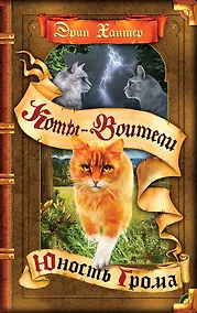 Купить Юность Грома — Фото №1