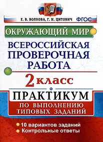Купить Всероссийская проверочная работа. Окружающий мир. 2 класс. Практикум по выполнению типовых заданий — Фото №1