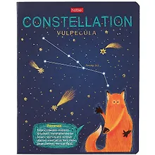 Купить Тетрадь в клетку Hatber, "Приходи считать звезды", 48 листов, в ассортименте — Фото №1