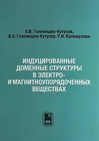 Купить Индуцированные доменные структуры в электро- и магнитоупорядоченных веществах — Фото №1