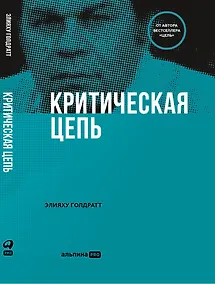 Купить Критическая цепь — Фото №1