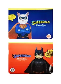 Купить Папка на молнии B5 "Supermiao", пластик, Languo — Фото №1