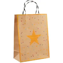 Купить Пакет А4 30*22*11 "Asterisk" нейтр. бум.мат.ламинат — Фото №1