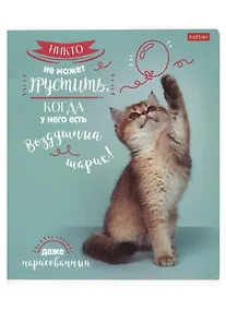 Купить Тетрадь в клетку Hatber, "ДоброЛапки", 48 листов, в ассортименте — Фото №1