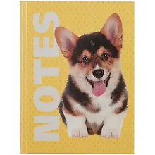 Купить Записная книжка А6 64л кл. "Friend" 7БЦ, глянц.ламинация, офсет 60г/м2 — Фото №1