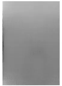 Купить Тетрадь в клетку Hatber, "Metallic Серебро", А4, 48 листов — Фото №1