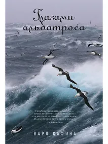 Купить Глазами альбатроса — Фото №1