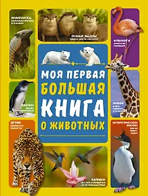 Купить Моя первая большая книга о животных — Фото №1