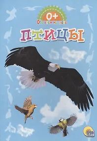 Купить Обо всём на свете.  Птицы — Фото №1