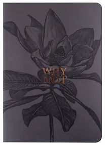 Купить Тетрадь в клетку Be Smart, Aesthetics, 48 листов — Фото №1